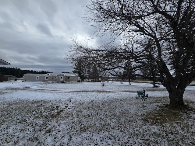 view of snowy yard