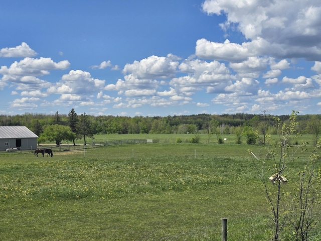 440 N Galbraith Rd, Mio, MI 48647 - view of yard featuring a rural view