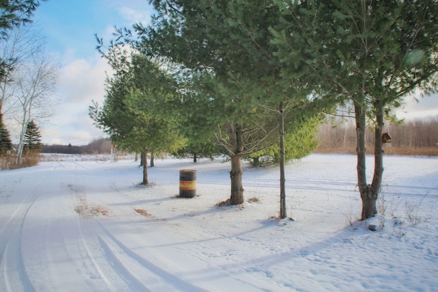 view of snowy yard