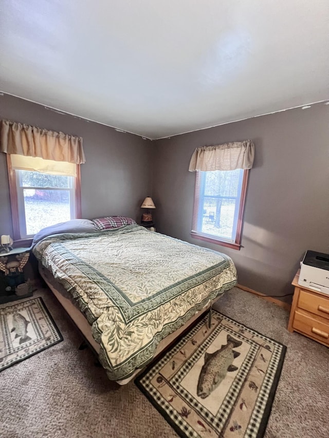 bedroom featuring carpet