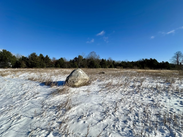 view of snow covered land