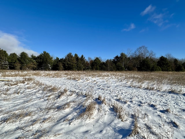 view of snow covered land