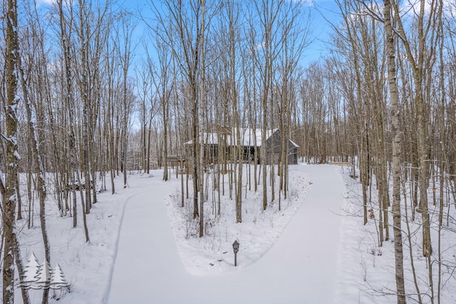 view of yard layered in snow