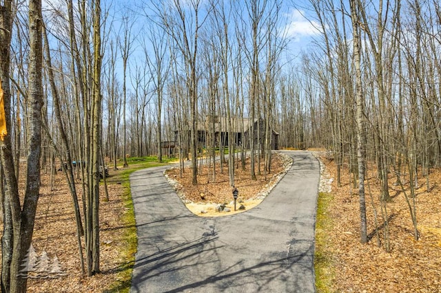 220 Skyview Ct, Lewiston, MI 49756 - view of asphalt driveway