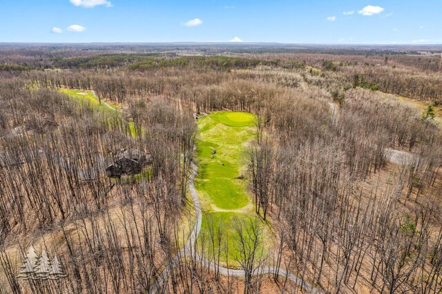 220 Skyview Ct, Lewiston, MI 49756 - bird's eye view of a local golf course