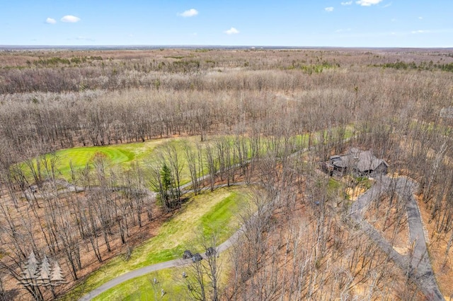220 Skyview Ct, Lewiston, MI 49756 - aerial view