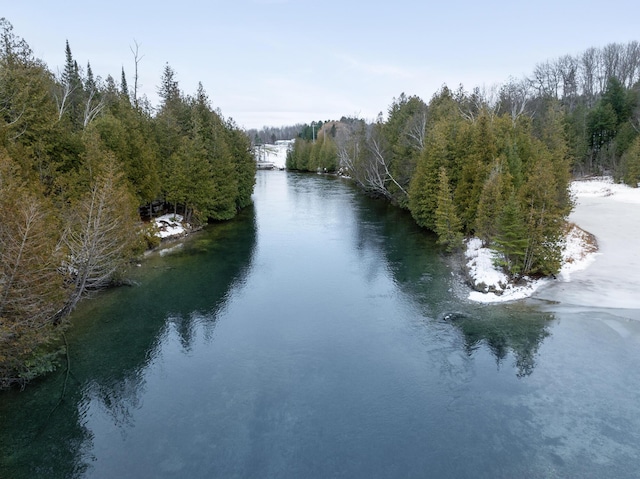 view of water feature featuring a forest view