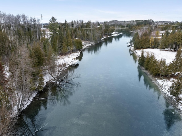 drone / aerial view with a water view and a view of trees