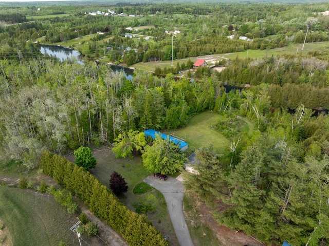 6626 Varonica Ln, Cheboygan, MI 49721 - aerial view of property and surrounding area with a large body of water and a forest