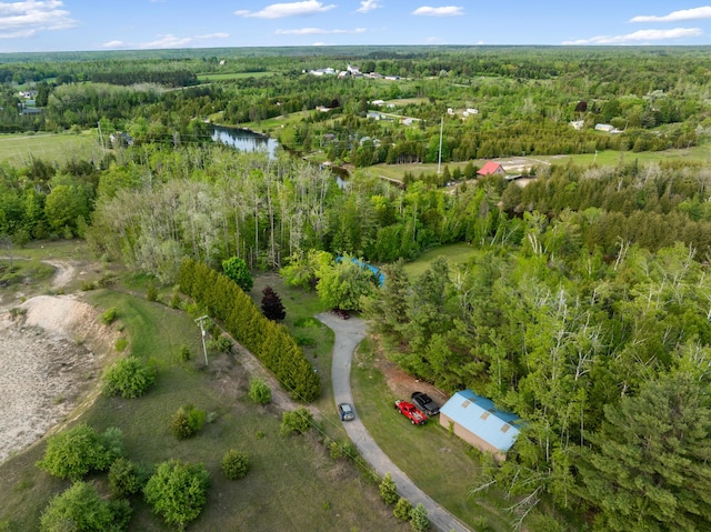 6626 Varonica Ln, Cheboygan, MI 49721 - view of property location featuring a heavily wooded area and a large body of water