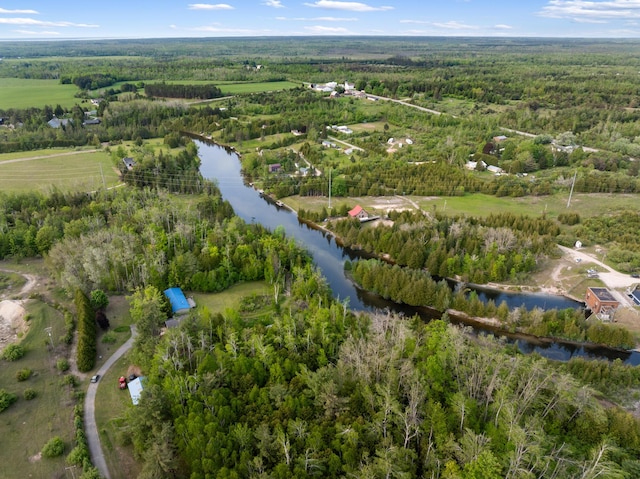 6626 Varonica Ln, Cheboygan, MI 49721 - aerial view of property's location featuring a nearby body of water and a forest