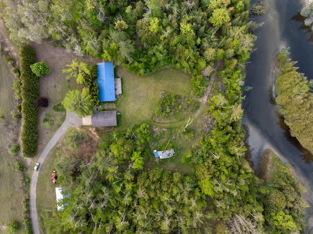 6626 Varonica Ln, Cheboygan, MI 49721 - bird's eye view