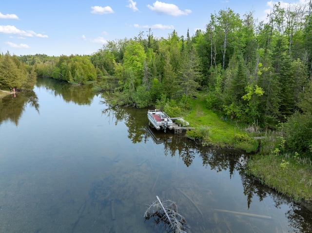 6626 Varonica Ln, Cheboygan, MI 49721 - water view featuring a heavily wooded area