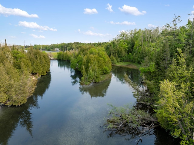 6626 Varonica Ln, Cheboygan, MI 49721 - water view with a heavily wooded area