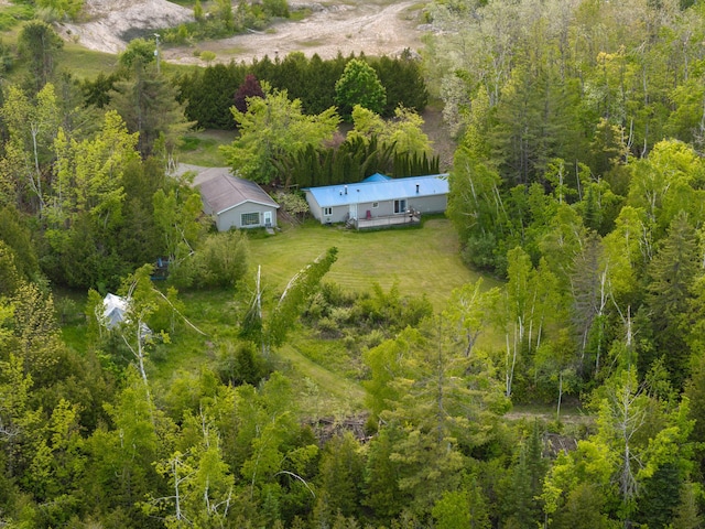 6626 Varonica Ln, Cheboygan, MI 49721 - view of subject property featuring a forest