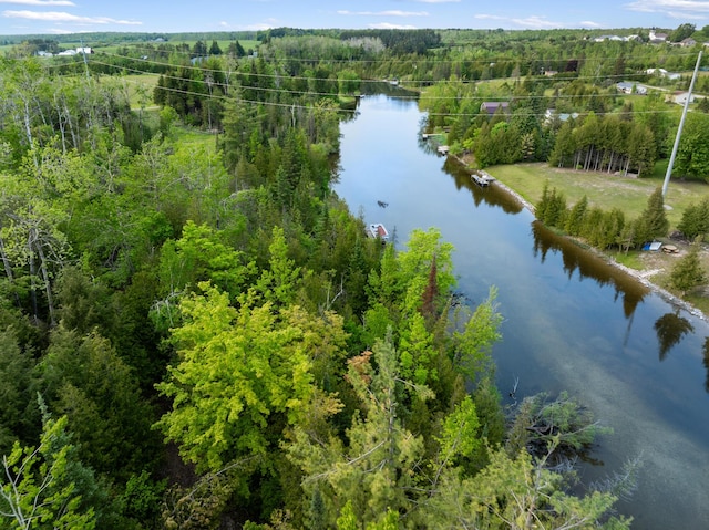 6626 Varonica Ln, Cheboygan, MI 49721 - aerial view of a large body of water and a heavily wooded area