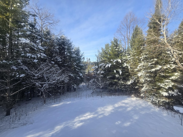 view of yard layered in snow