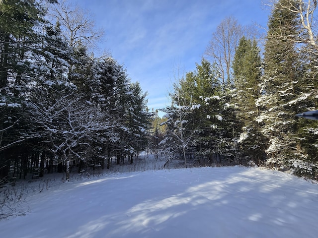 view of yard covered in snow