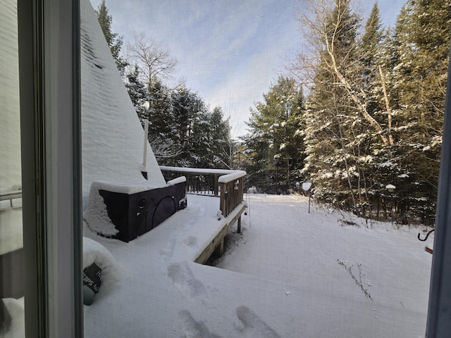 view of yard covered in snow