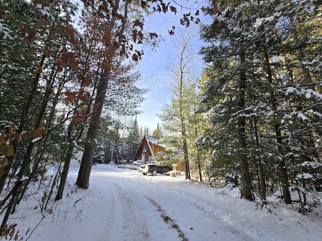 view of road with driveway