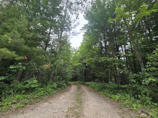 2709 Timberlane Trl, Grayling, MI 49738 - view of dirt / gravel road with a wooded view