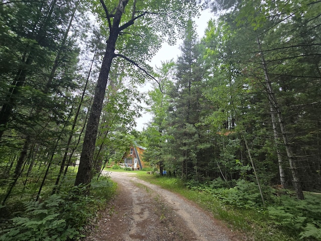 2709 Timberlane Trl, Grayling, MI 49738 - view of dirt / gravel road featuring a forest view