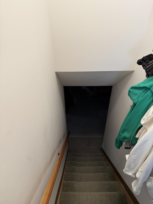 stairway with baseboards and carpet