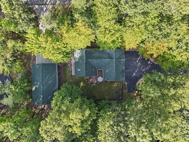 drone / aerial view