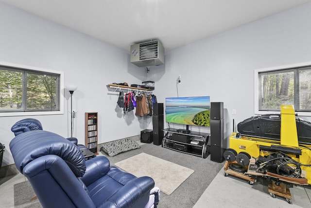 carpeted living area with a healthy amount of sunlight