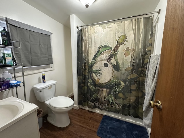 bathroom featuring toilet, vanity, a shower with curtain, and wood finished floors