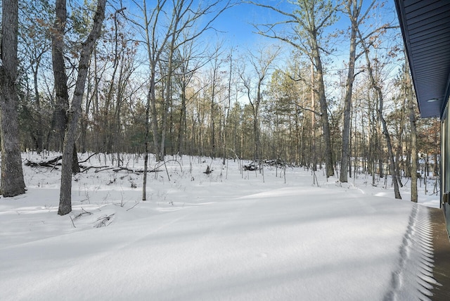 view of yard layered in snow