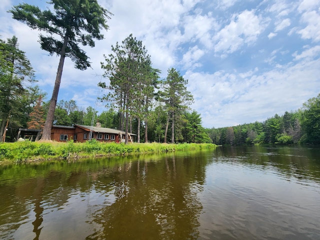 water view with a view of trees