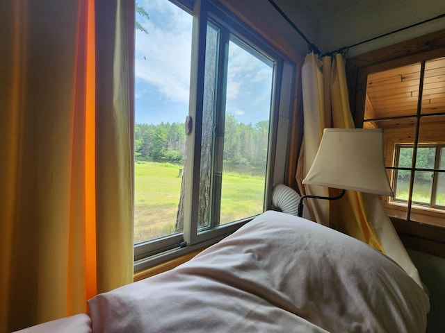 bedroom featuring multiple windows