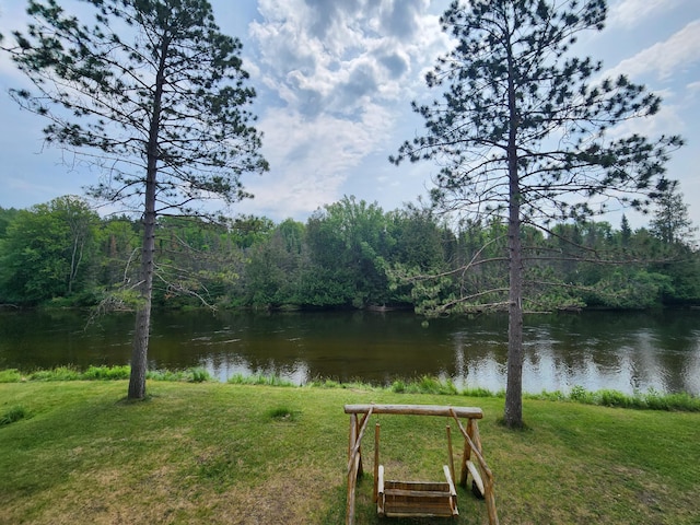 water view with a view of trees