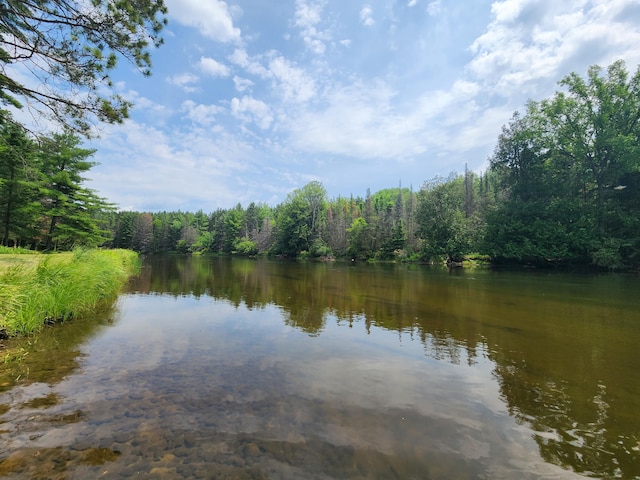 water view featuring a view of trees