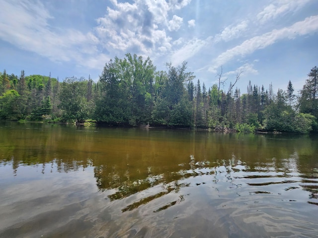 water view featuring a wooded view