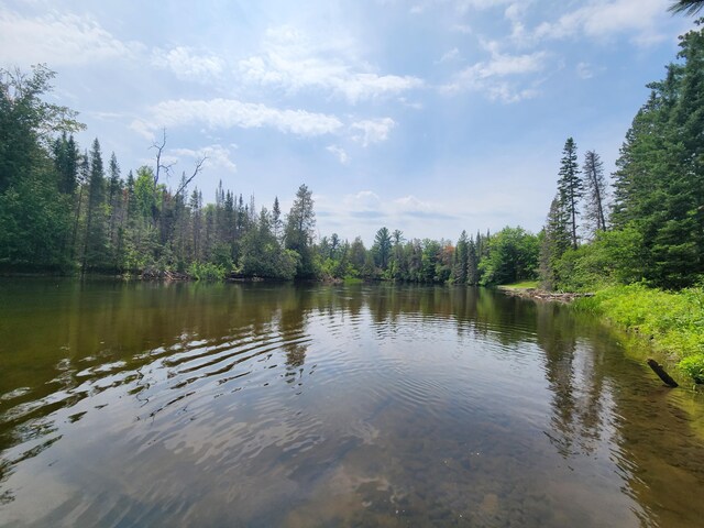 view of water feature featuring a view of trees