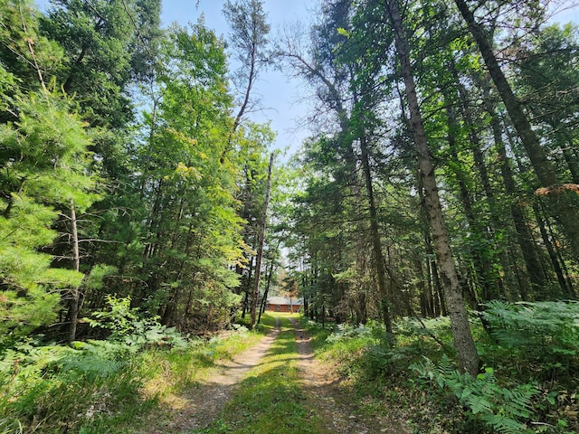 view of road with driveway and a forest view