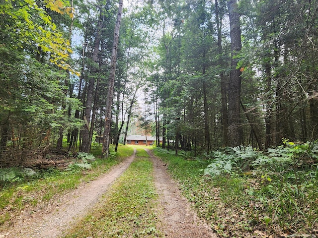 view of street with a wooded view and driveway