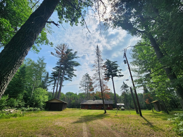 view of yard with a detached carport, an outdoor structure, and driveway