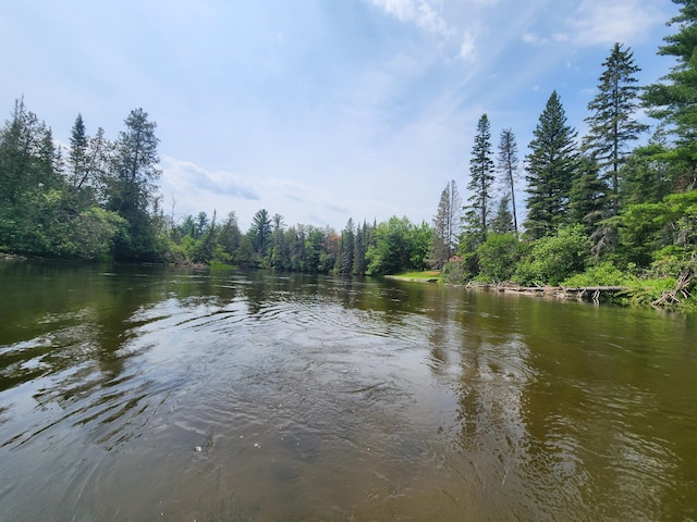 property view of water featuring a view of trees