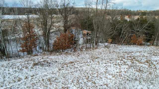 view of snow covered land