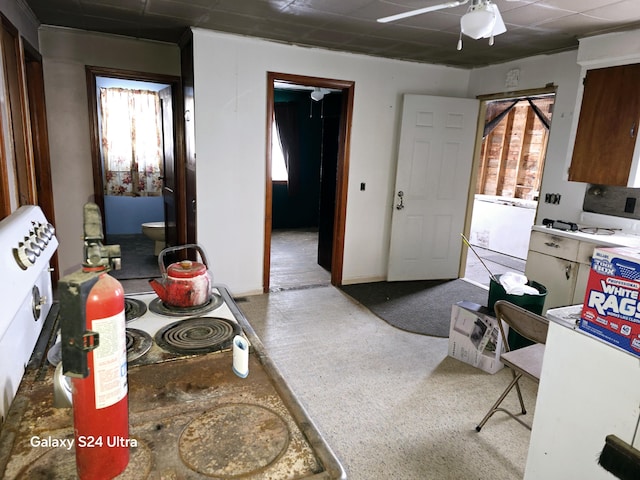 kitchen with ceiling fan and stovetop