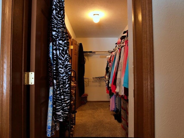 walk in closet with carpet flooring