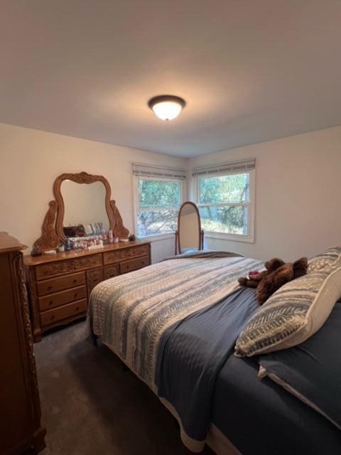 bedroom with dark carpet