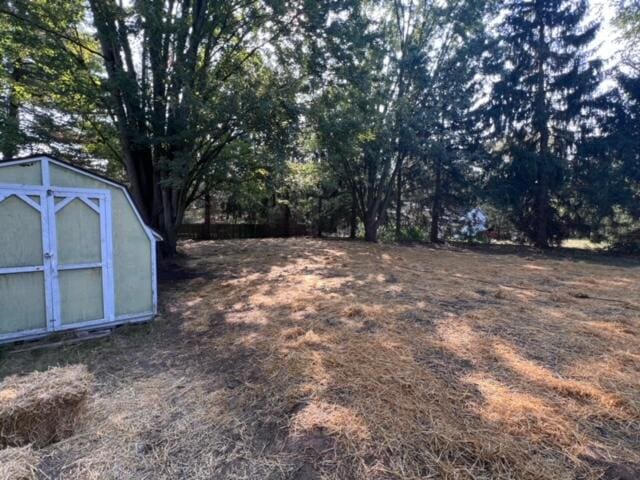 view of yard featuring an outbuilding and a shed