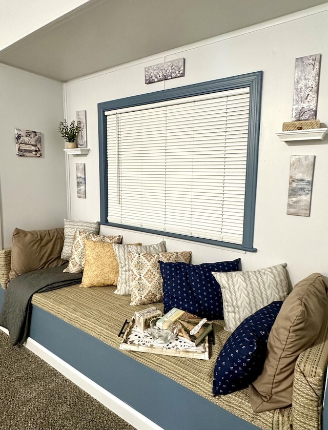 view of carpeted living area