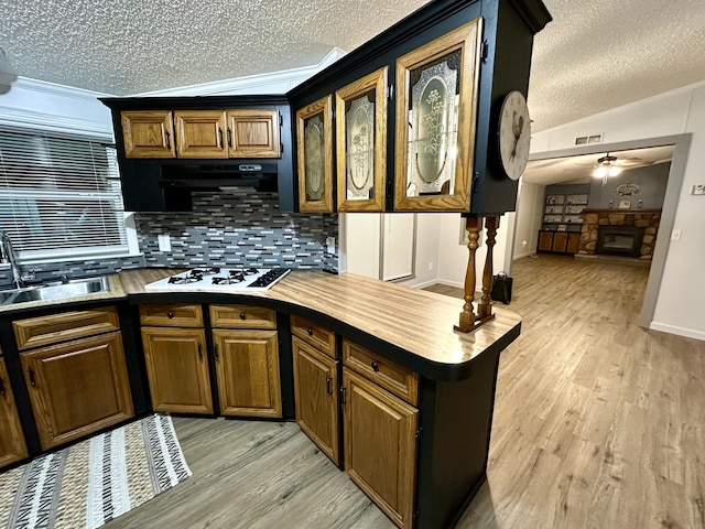 kitchen with crown molding, a fireplace, light wood-type flooring, and a sink