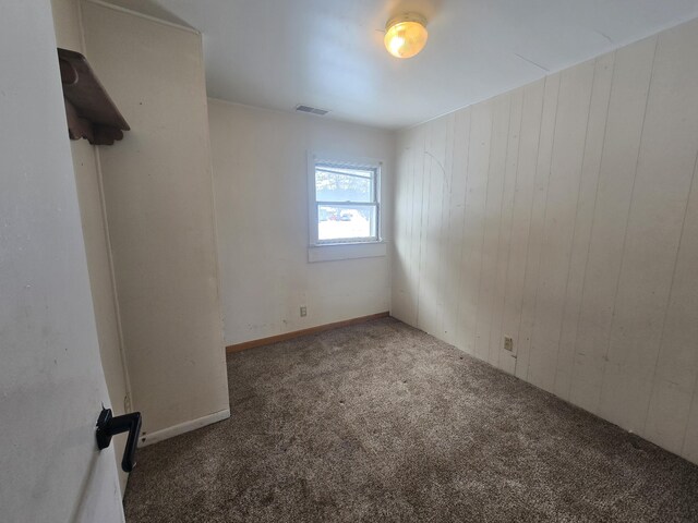 spare room featuring wooden walls and carpet flooring