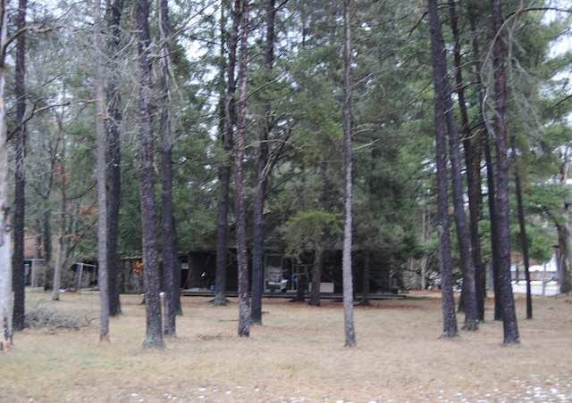 view of local wilderness with a wooded view